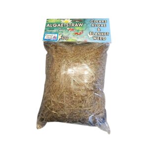Algae Straw